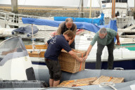 FEATURE - Vier kleine Seehunde werden an einem Strand der Nordseeinsel Juist ausgewildert