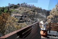 NEWS - Portugal: Waldbrände an der Algarve