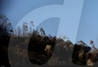 NEWS - Portugal: Waldbrände an der Algarve