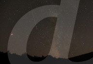 NEWS - Perseiden: Es regnet Sternschnuppen