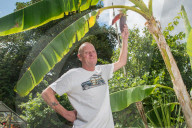 FEATURE - Nach 10 Jahren: Bananenpflanze trägt erste Früchte