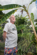 FEATURE - Nach 10 Jahren: Bananenpflanze trägt erste Früchte
