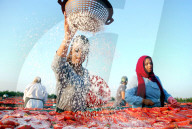FEATURE - Pix of the Day: Bilder des Tages