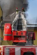 FEATURE - Pix of the Day: Bilder des Tages