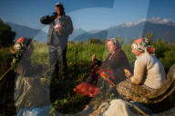 REPORTAGE - Tabakernte in Bulgarien