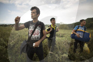 NEWS - Flüchtlinge versuchen kroatische Grenze zu erreichen