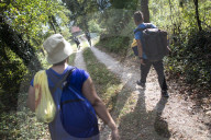 NEWS - Flüchtlinge versuchen kroatische Grenze zu erreichen