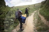NEWS - Flüchtlinge versuchen kroatische Grenze zu erreichen