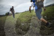 NEWS - Flüchtlinge versuchen kroatische Grenze zu erreichen