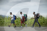 NEWS - Flüchtlinge versuchen kroatische Grenze zu erreichen