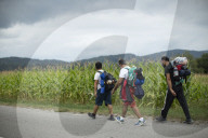 NEWS - Flüchtlinge versuchen kroatische Grenze zu erreichen