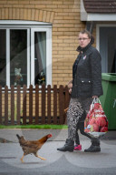 FEATURE - Chicken City: Einwohner von Norfolk beklagen sich über streunendes Geflügel 