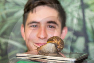FEATURE - Gewichts Inventar im Whipsnade Zoo
