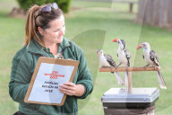 FEATURE - Gewichts Inventar im Whipsnade Zoo