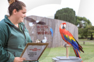 FEATURE - Gewichts Inventar im Whipsnade Zoo