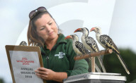 FEATURE - Gewichts Inventar im Whipsnade Zoo