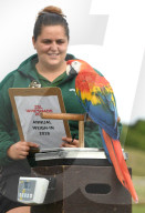 FEATURE - Gewichts Inventar im Whipsnade Zoo