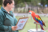 FEATURE - Gewichts Inventar im Whipsnade Zoo