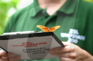 FEATURE - Gewichts Inventar im Whipsnade Zoo