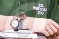 FEATURE - Gewichts Inventar im Whipsnade Zoo