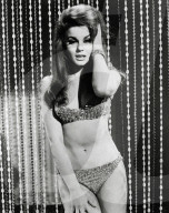 Archival Cinema and Entertainment