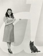 Archival Cinema and Entertainment