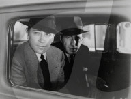 Archival Cinema and Entertainment