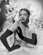 Archival Cinema and Entertainment