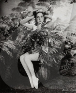 Archival Cinema and Entertainment