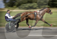 FEATURE - Pix of the Day: Bilder des Tages