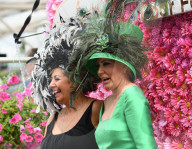 FEATURE - Pix of the Day: Bilder des Tages