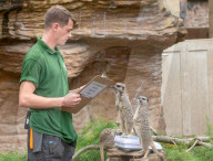 FEATURE - Jährlicher Wägetermin im London Zoo
