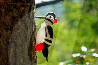 FEATURE - Komische Vögel