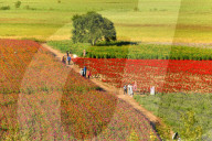 FEATURE - Pix of the Day: Bilder des Tages