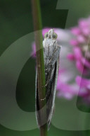 FEATURE - Pix of the Day: Bilder des Tages