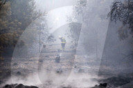 NEWS - Deutschland: Waldbrände in Brandenburg