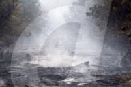 NEWS - Deutschland: Waldbrände in Brandenburg