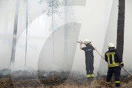 NEWS - Deutschland: Waldbrände in Brandenburg