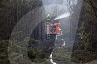 NEWS - Deutschland: Waldbrände in Brandenburg