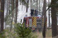 NEWS - Deutschland: Waldbrände in Brandenburg