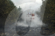 NEWS - Deutschland: Waldbrände in Brandenburg