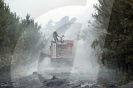 NEWS - Deutschland: Waldbrände in Brandenburg