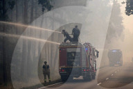 NEWS - Deutschland: Waldbrände in Brandenburg