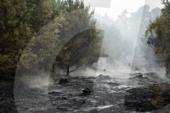 NEWS - Deutschland: Waldbrände in Brandenburg