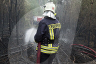 NEWS - Deutschland: Waldbrände in Brandenburg