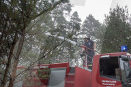 NEWS - Deutschland: Waldbrände in Brandenburg