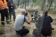 NEWS - Deutschland: Waldbrände in Brandenburg