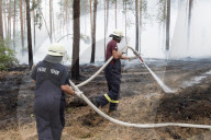 NEWS - Deutschland: Waldbrände in Brandenburg