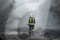 NEWS - Deutschland: Waldbrände in Brandenburg
