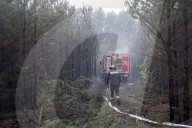 NEWS - Deutschland: Waldbrände in Brandenburg